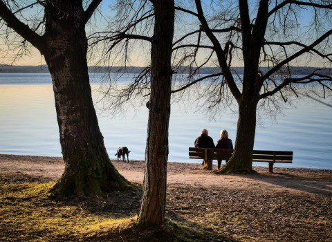 Zwei Personen sitzen auf einer Bank und schauen auf den See